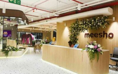 Meesho: Why FIIs and DIIs Consistently Increased Their Stakes Over the Past Two Quarters
