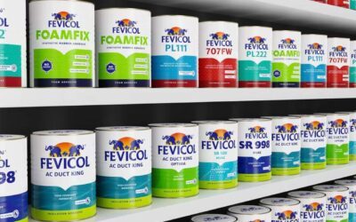 Pidilite Shares Receive ‘Buy’ Rating from HSBC; Check the Upside