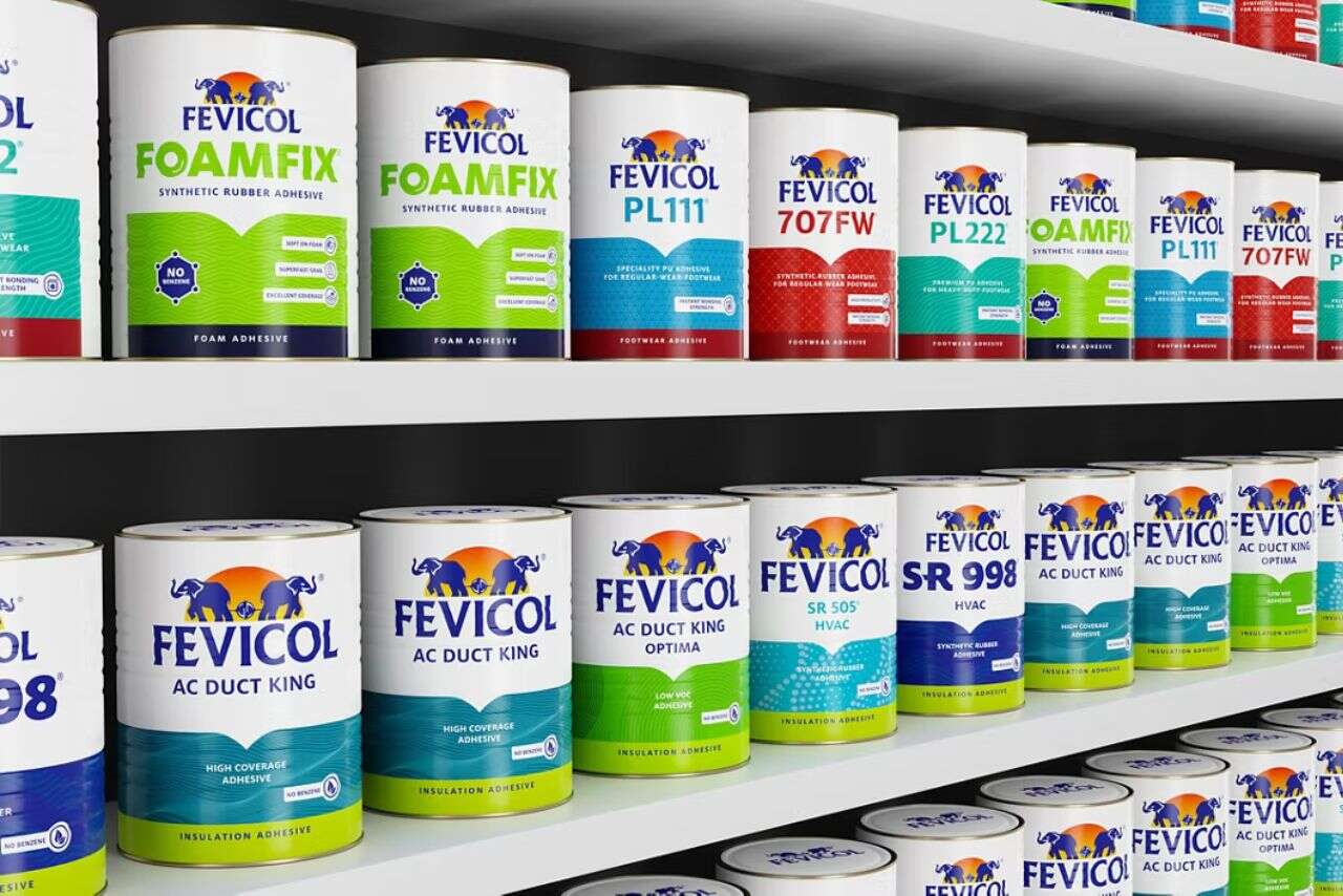Jyoti Resins Share: Can It Challenge Pidilite’s Grip on India’s Wood Adhesives Market?