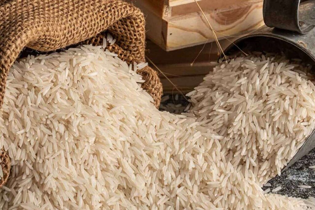 Rice stock jumps 10% after receiving approval for ₹197 Cr basmati project backed by JK Govt