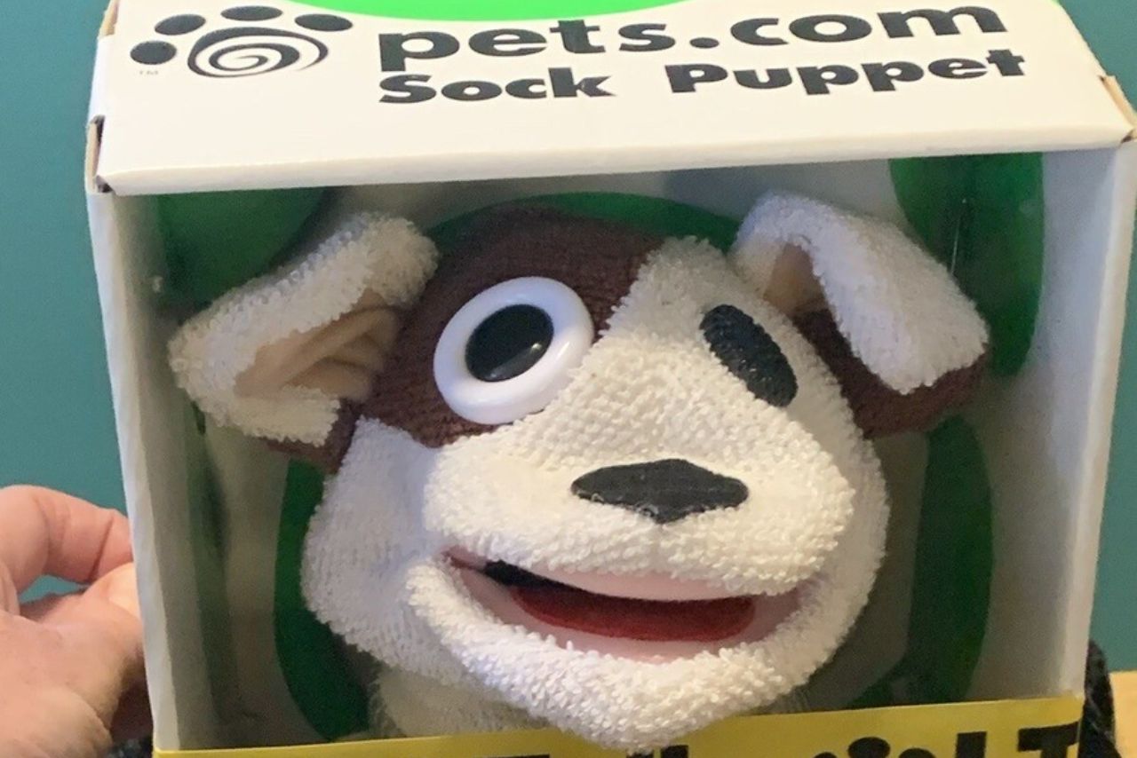 How Did A Pet Store Become The Symbol of The Biggest Stock Market Crash of This Century?