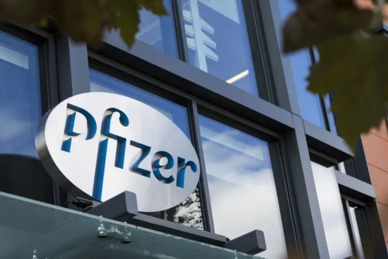 NBCC, Pfizer and other stocks in which Quant Small Cap Fund bought and sold stake in November