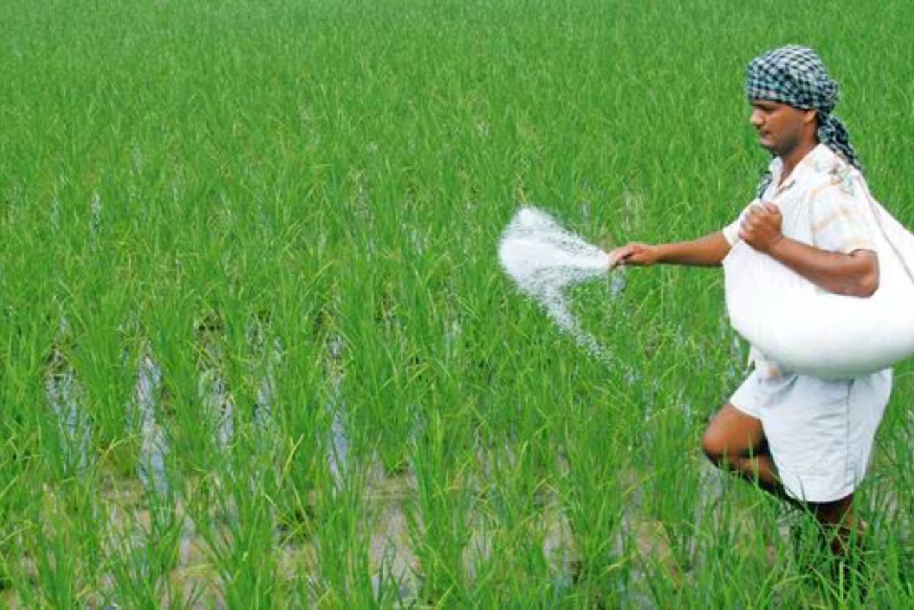 Tata Group: Why Did Rallis India’s Profit Fall 82% Despite Revenue Growth?