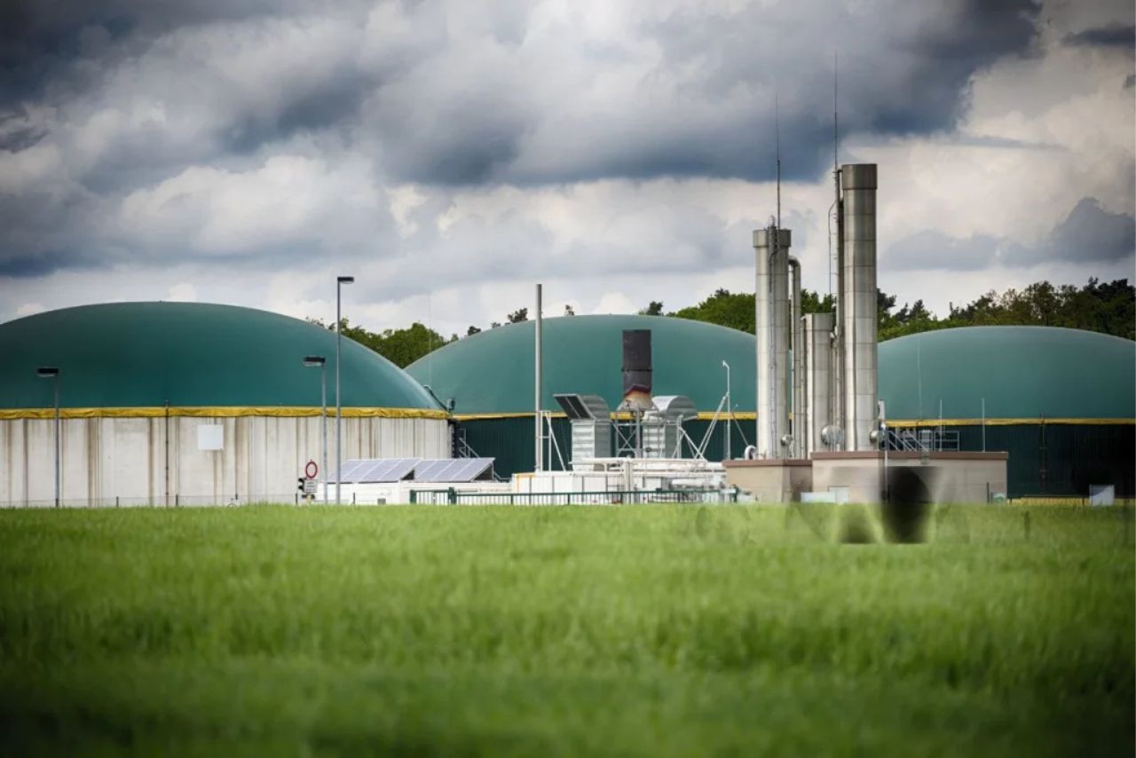 Stock held by Shahrukh Khan in focus after receiving contract for compressed biogas project