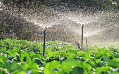 Mahindra EPC Irrigation Bags ₹3.32 Cr Micro Irrigation Contract From Water Resources Department