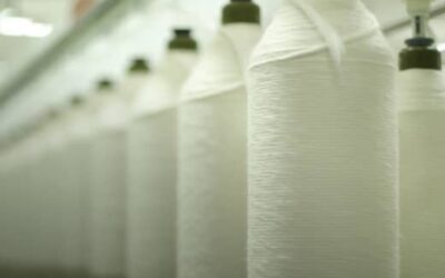 Sangam India Q1 Net Profit Jumps 18x to ₹41 Cr; Approves ₹1,500 Cr Capex Plan