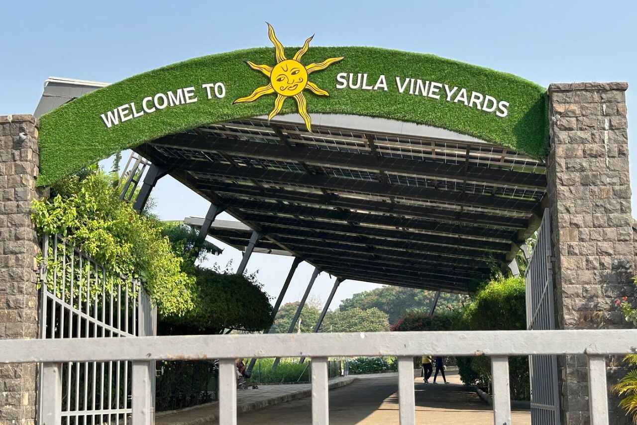 Sula Vineyards Shares Fall 5% Despite Reporting 51% QoQ Increase in Net Profit; Here’s Why
