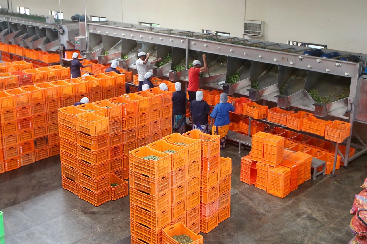 Freshara Agro Exports Secures Rs 4.20 Crore Govt Subsidy for Tamil Nadu Expansion