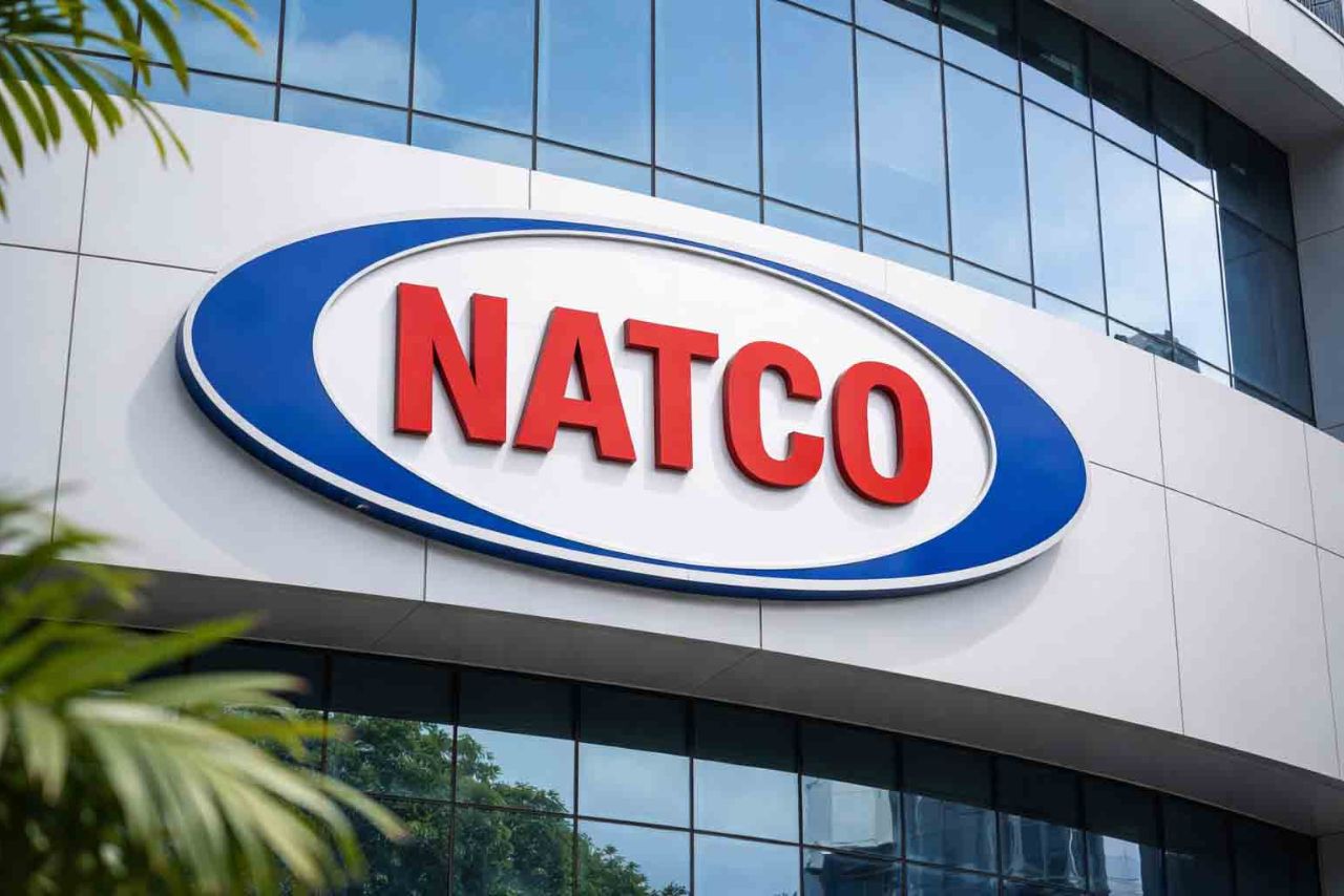 Natco Pharma and 2 other stocks in which DIIs have increased their stake in Q4