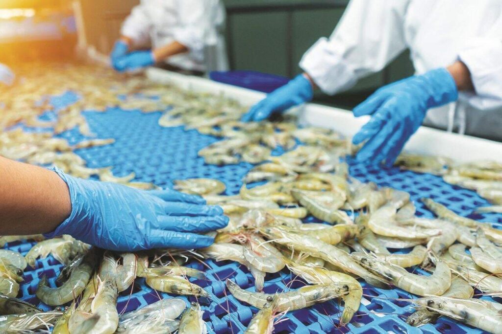 4 Stocks That Could Benefit as the Govt Targets ₹1 Lakh Cr in Seafood Exports