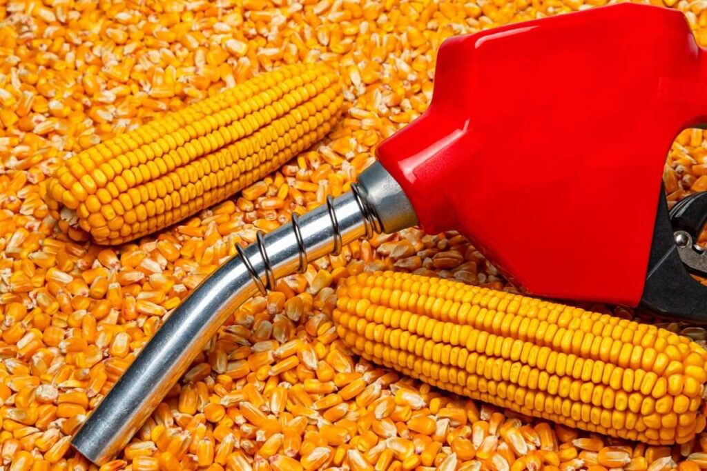 TruAlt Bioenergy: Can the Ethanol Stock Diversify Further into CBG and SAF?