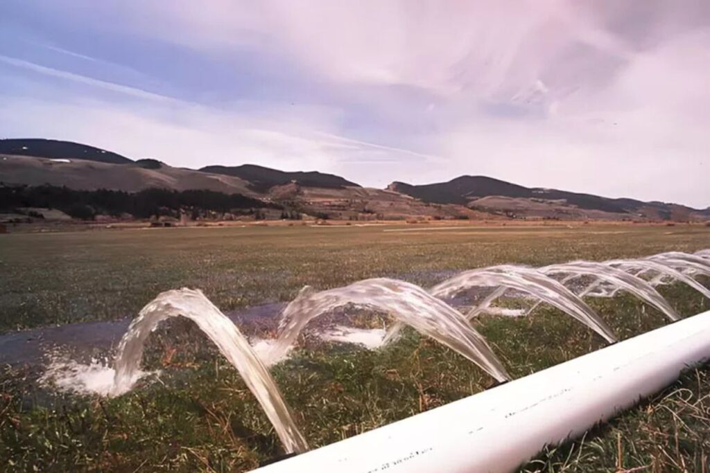 Infra Stock Jumps 6% After Bagging ₹418 Cr Irrigation Order in Maharashtra