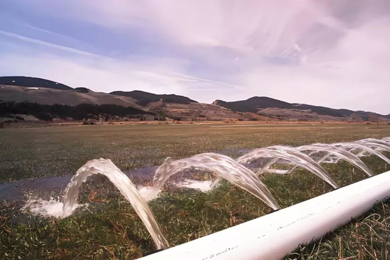 Infra Stock Jumps 6% After Bagging ₹418 Cr Irrigation Order in Maharashtra