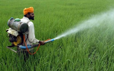 Agrochemical Stock Jumps 3% After Co. Announces Buyback at 28% Premium