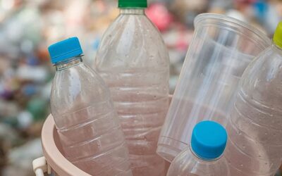 Ganesha Ecosphere: Will Govt’s Mandatory Plastic Recycling Rule Drive a Comeback for This Market Leader?