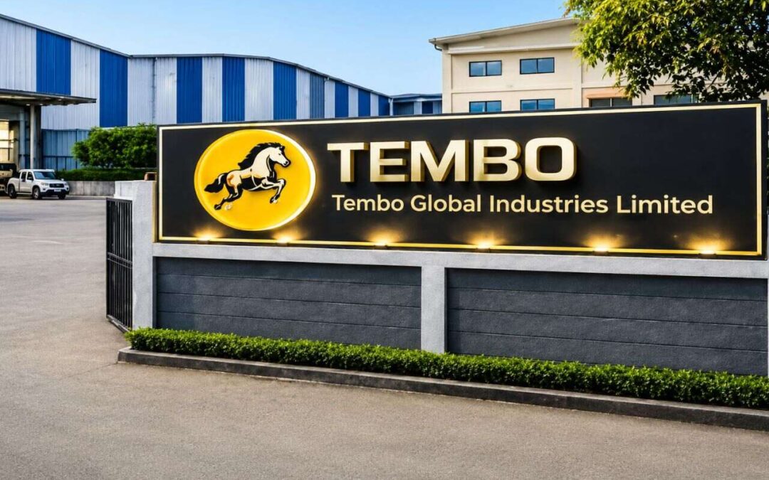 Tembo Global’s FY30 Bet: Can Solar, Defence and EPC Drive ₹20,000 Crore Revenue? 