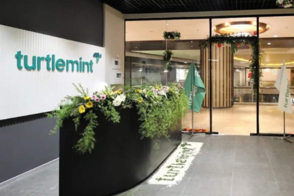 Turtlemint Fintech IPO: From Issue Details to Financials, Here’s What You Need to Know