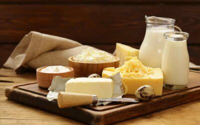 How This Small-Cap Dairy Stock Is Expanding From South India to Africa and Eastern India